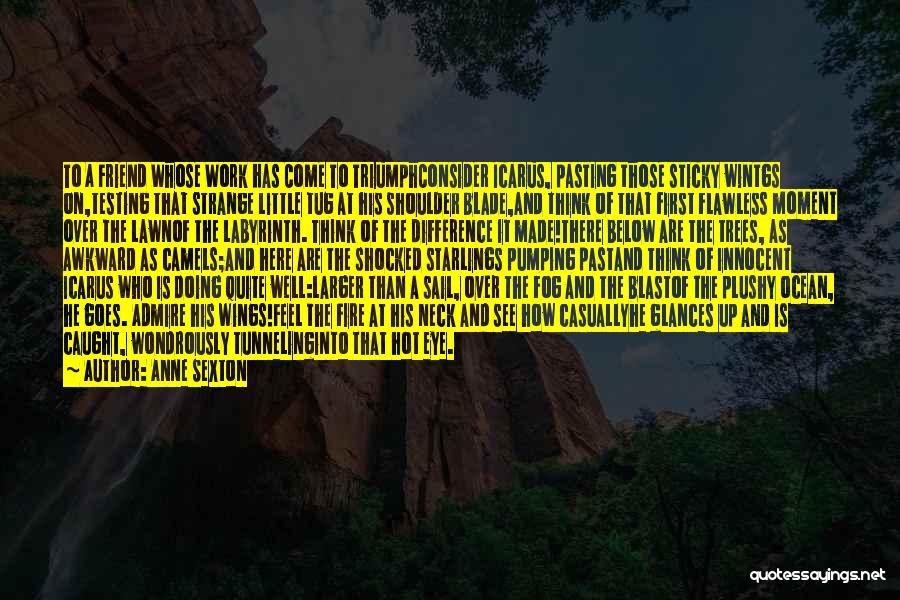 Anne Sexton Quotes 1500850 Anne Sexton Quotes 1500850