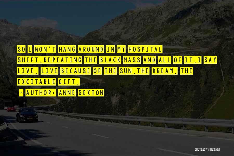 Anne Sexton Quotes 1585458