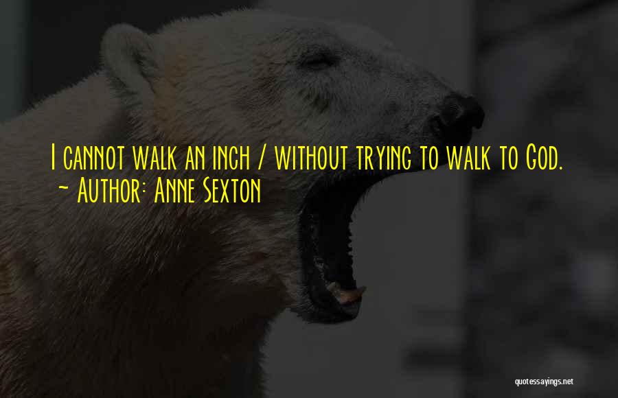 Anne Sexton Quotes 1796270