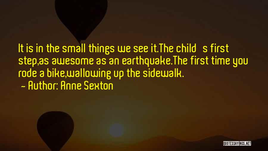 Anne Sexton Quotes 1894296 Anne Sexton Quotes 1894296