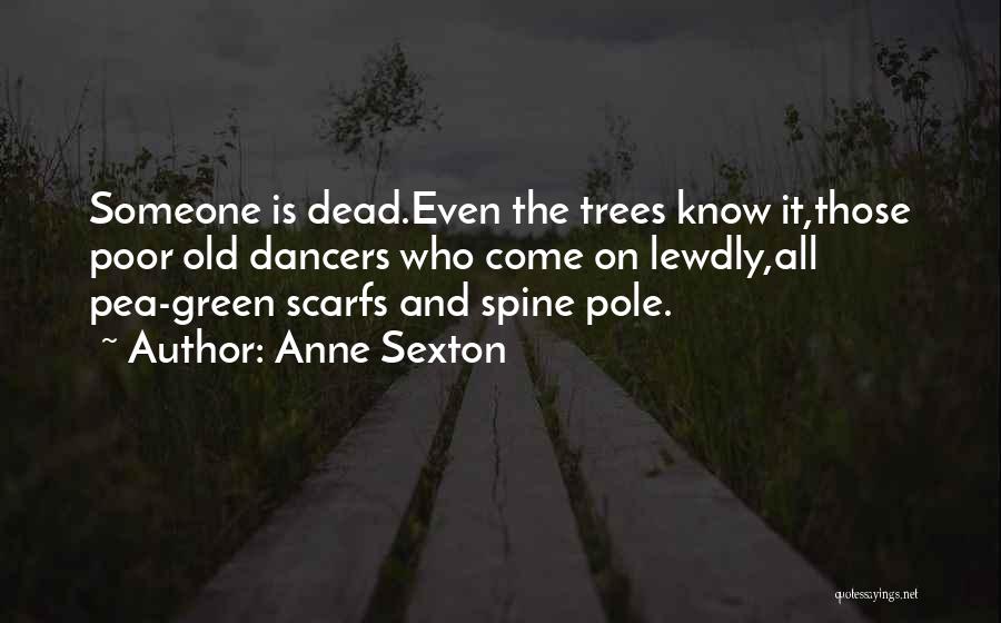 Anne Sexton Quotes 2256291