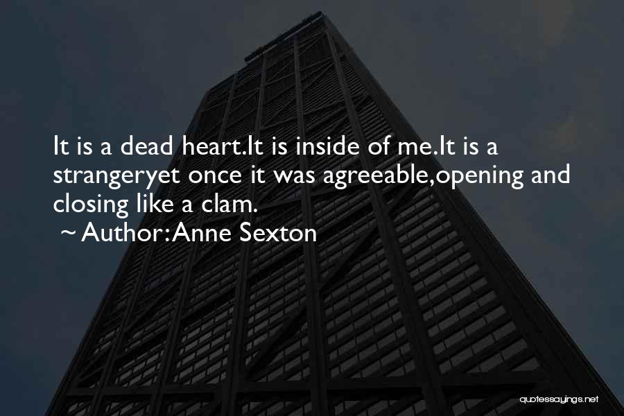 Anne Sexton Quotes 2267185