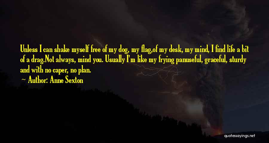 Anne Sexton Quotes 433228 Anne Sexton Quotes 433228