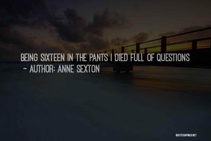 Anne Sexton Quotes 582487