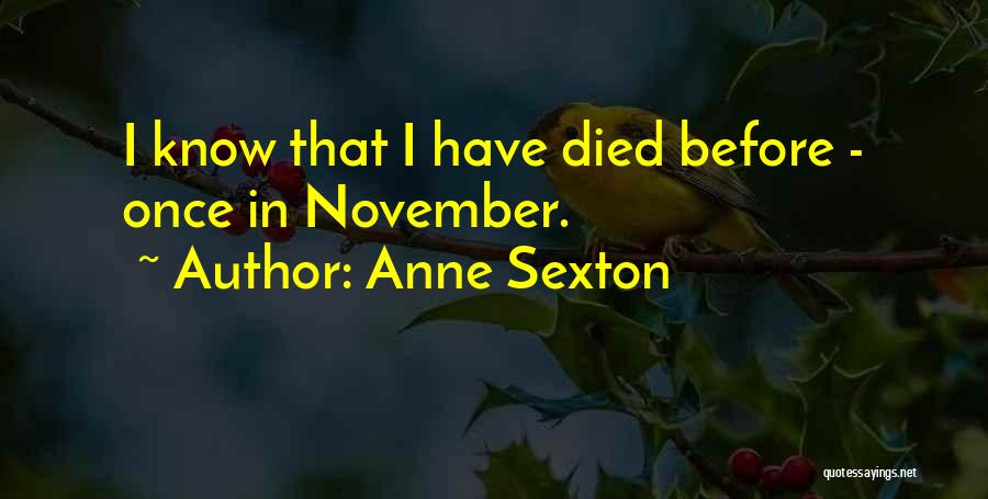 Anne Sexton Quotes 644420