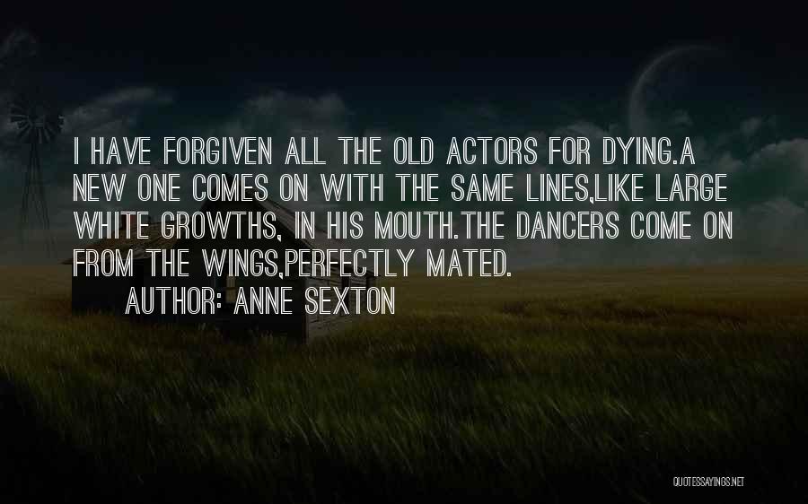 Anne Sexton Quotes 697809