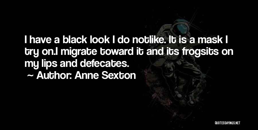Anne Sexton Quotes 884195 Anne Sexton Quotes 884195