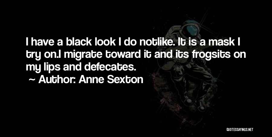 Anne Sexton Quotes 884195