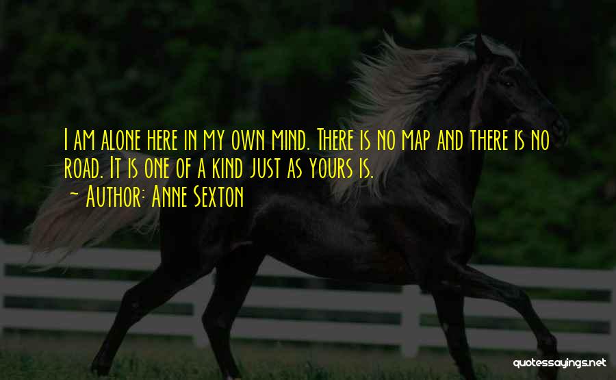 Anne Sexton Quotes 914558 Anne Sexton Quotes 914558