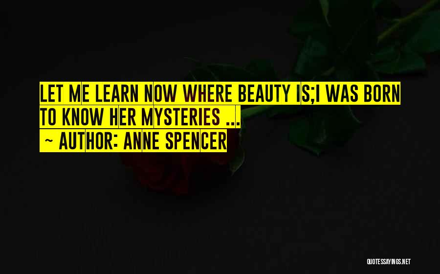 Anne Spencer Quotes 1541684