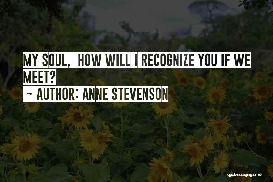 Anne Stevenson Quotes 268051