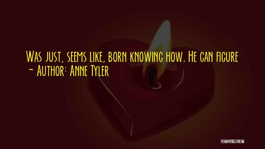 Anne Tyler Quotes 992934
