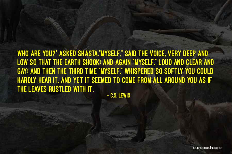Anne Willan Quotes By C.S. Lewis Anne Willan Quotes By C.S. Lewis