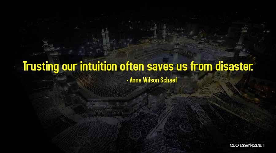 Anne Wilson Schaef Quotes 1782771 Anne Wilson Schaef Quotes 1782771