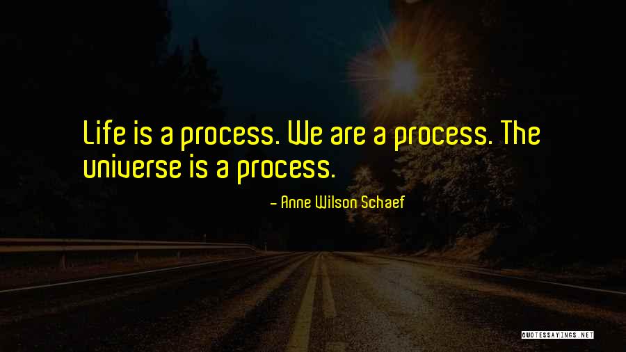 Anne Wilson Schaef Quotes 1851829 Anne Wilson Schaef Quotes 1851829