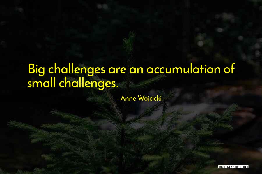 Anne Wojcicki Quotes 1732744