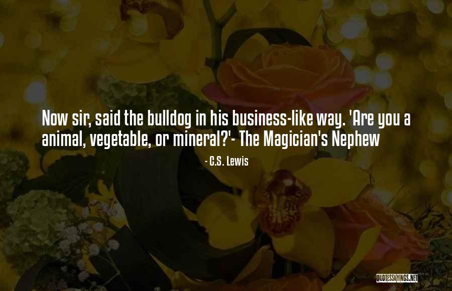 Annelisa Roseen Quotes By C.S. Lewis Annelisa Roseen Quotes By C.S. Lewis