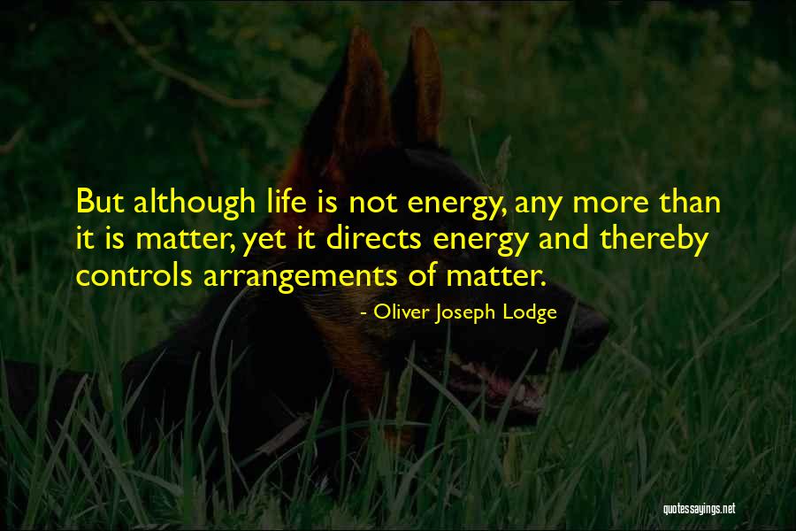 Annelize Nienaber Quotes By Oliver Joseph Lodge Annelize Nienaber Quotes By Oliver Joseph Lodge