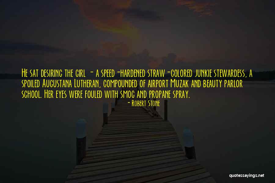 Annexture Quotes By Robert Stone Annexture Quotes By Robert Stone