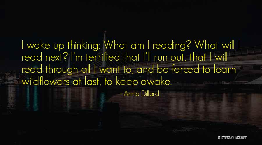 Annie Dillard Quotes 1135639 Annie Dillard Quotes 1135639