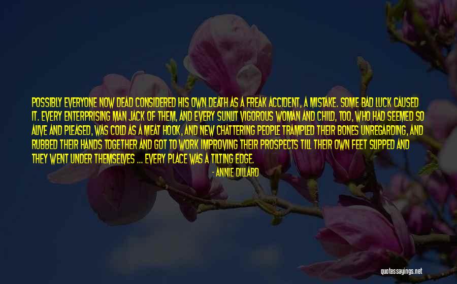 Annie Dillard Quotes 114383 Annie Dillard Quotes 114383