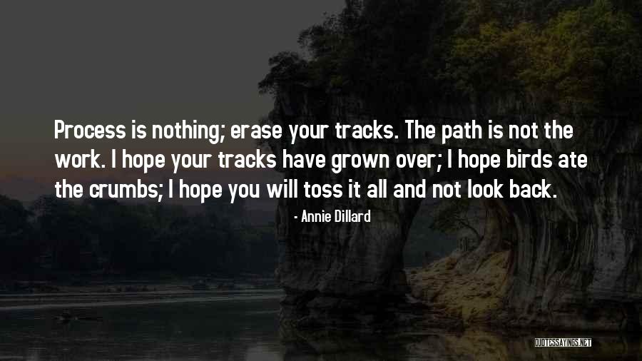 Annie Dillard Quotes 116258 Annie Dillard Quotes 116258