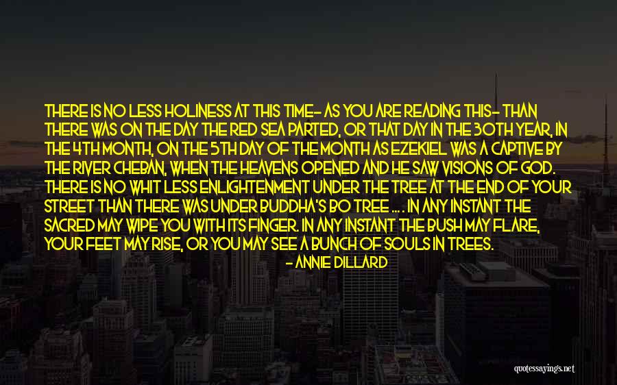 Annie Dillard Quotes 1217007 Annie Dillard Quotes 1217007
