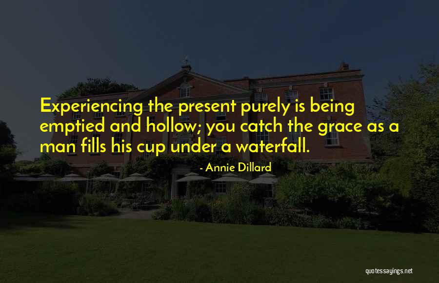 Annie Dillard Quotes 1287667 Annie Dillard Quotes 1287667