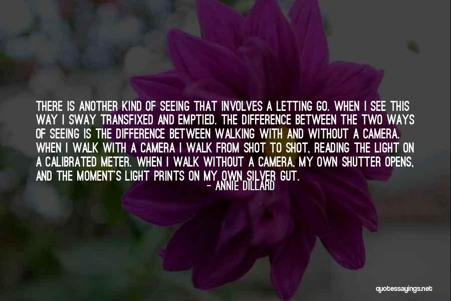 Annie Dillard Quotes 1316980 Annie Dillard Quotes 1316980