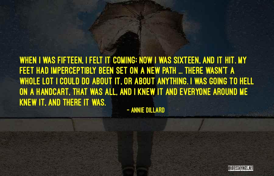 Annie Dillard Quotes 1509209 Annie Dillard Quotes 1509209