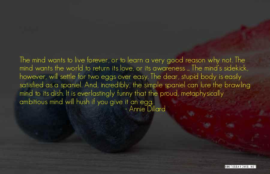 Annie Dillard Quotes 1587149 Annie Dillard Quotes 1587149