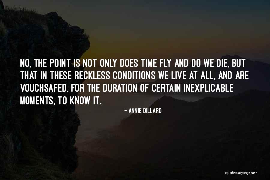 Annie Dillard Quotes 1596532 Annie Dillard Quotes 1596532