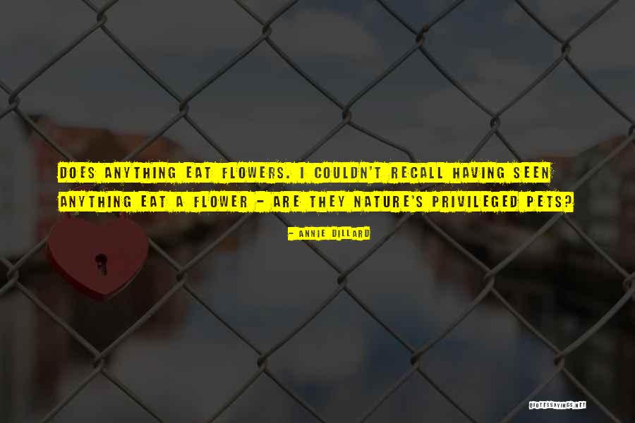 Annie Dillard Quotes 1605289 Annie Dillard Quotes 1605289