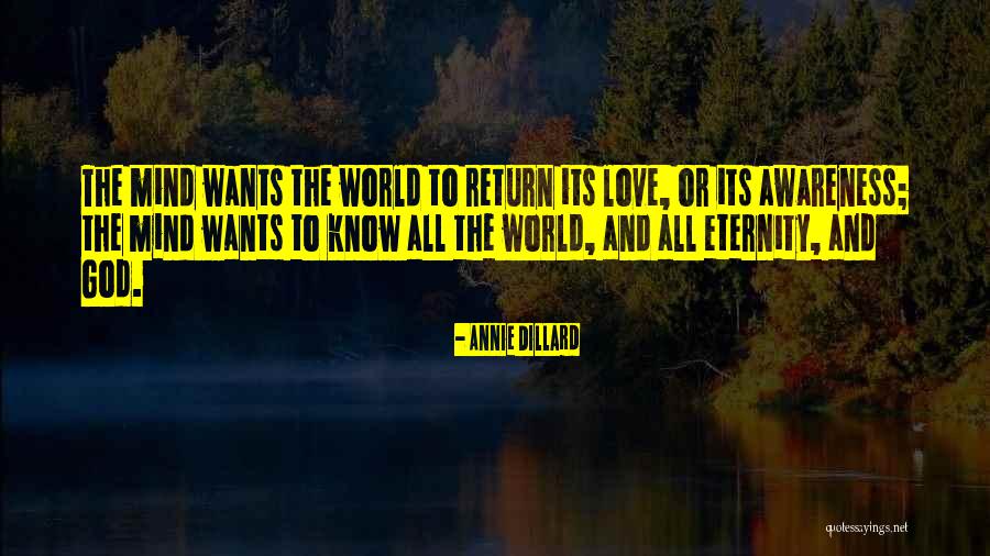 Annie Dillard Quotes 1648385 Annie Dillard Quotes 1648385
