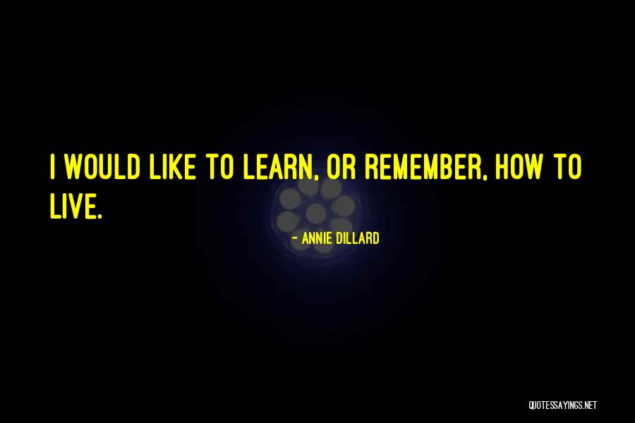 Annie Dillard Quotes 1718905