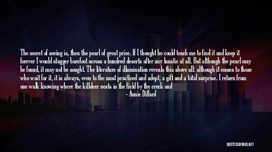 Annie Dillard Quotes 175290 Annie Dillard Quotes 175290
