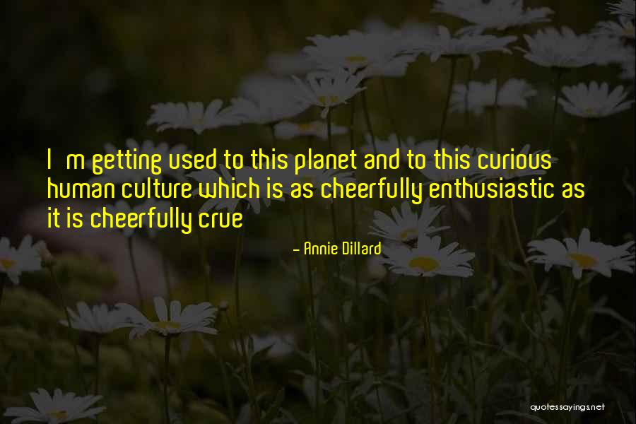 Annie Dillard Quotes 2083353 Annie Dillard Quotes 2083353
