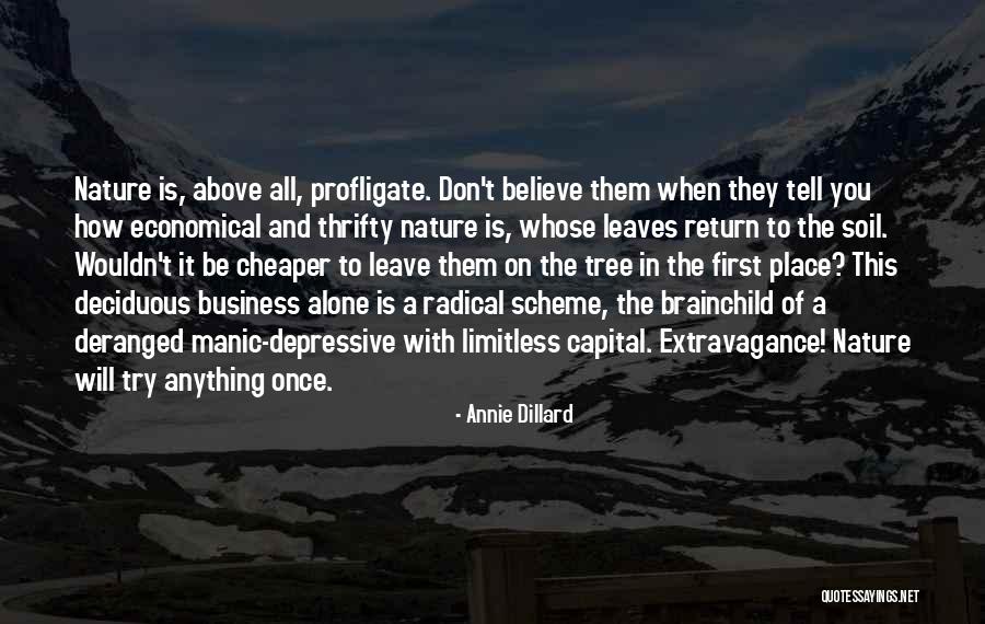 Annie Dillard Quotes 2100996 Annie Dillard Quotes 2100996