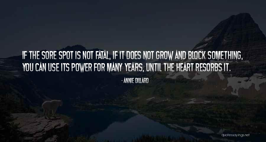 Annie Dillard Quotes 211920 Annie Dillard Quotes 211920