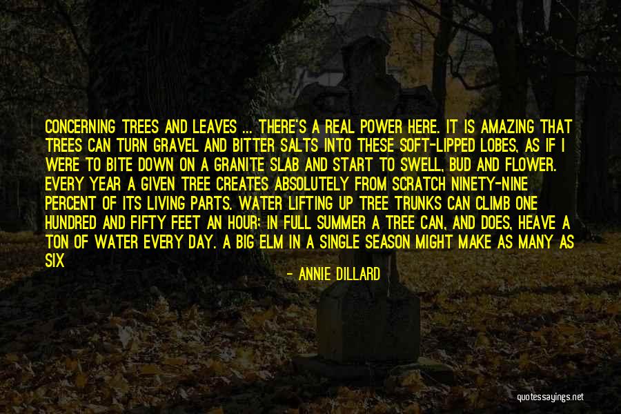 Annie Dillard Quotes 2151315 Annie Dillard Quotes 2151315