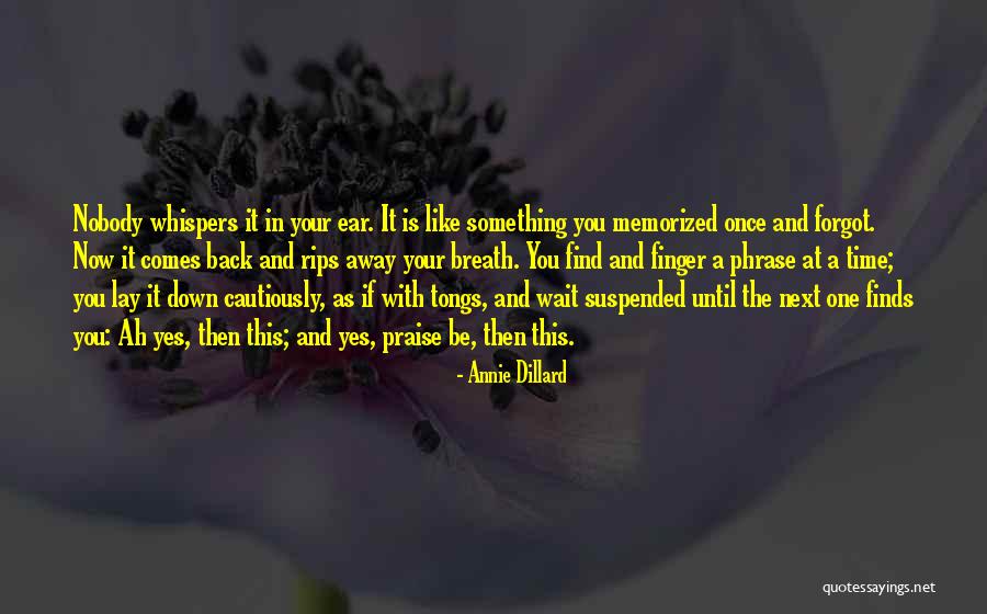 Annie Dillard Quotes 2254213 Annie Dillard Quotes 2254213