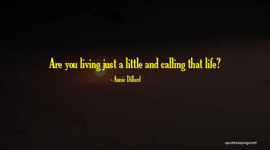 Annie Dillard Quotes 490409