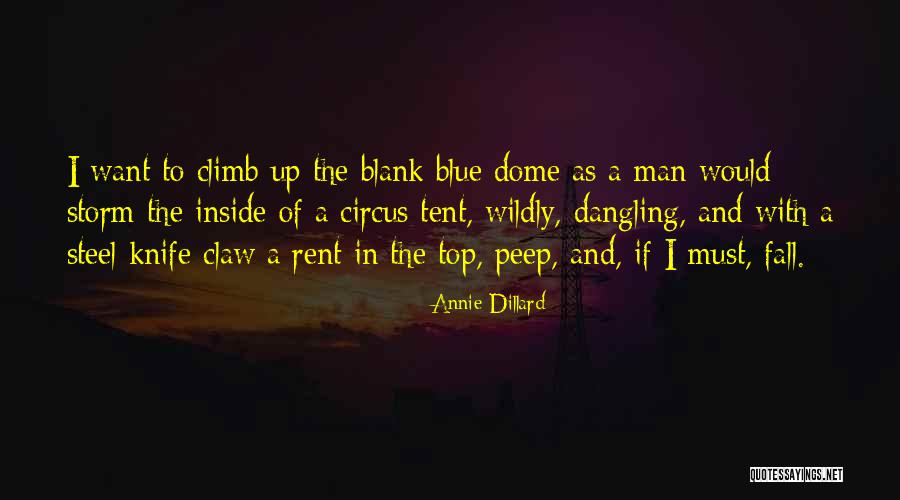 Annie Dillard Quotes 536271 Annie Dillard Quotes 536271