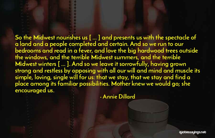 Annie Dillard Quotes 575223 Annie Dillard Quotes 575223