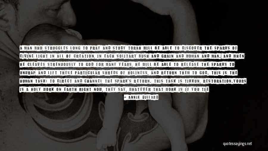 Annie Dillard Quotes 633112 Annie Dillard Quotes 633112