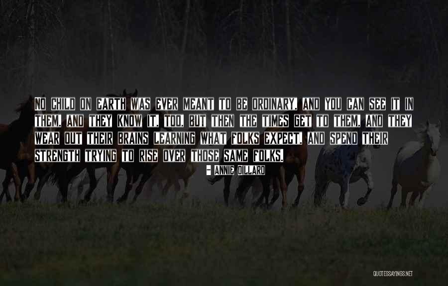 Annie Dillard Quotes 716854 Annie Dillard Quotes 716854