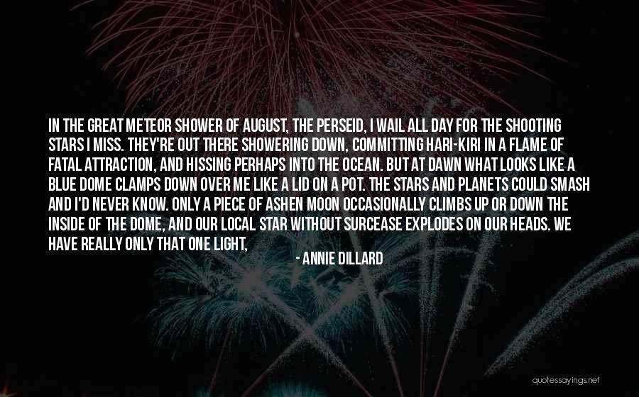 Annie Dillard Quotes 869188 Annie Dillard Quotes 869188