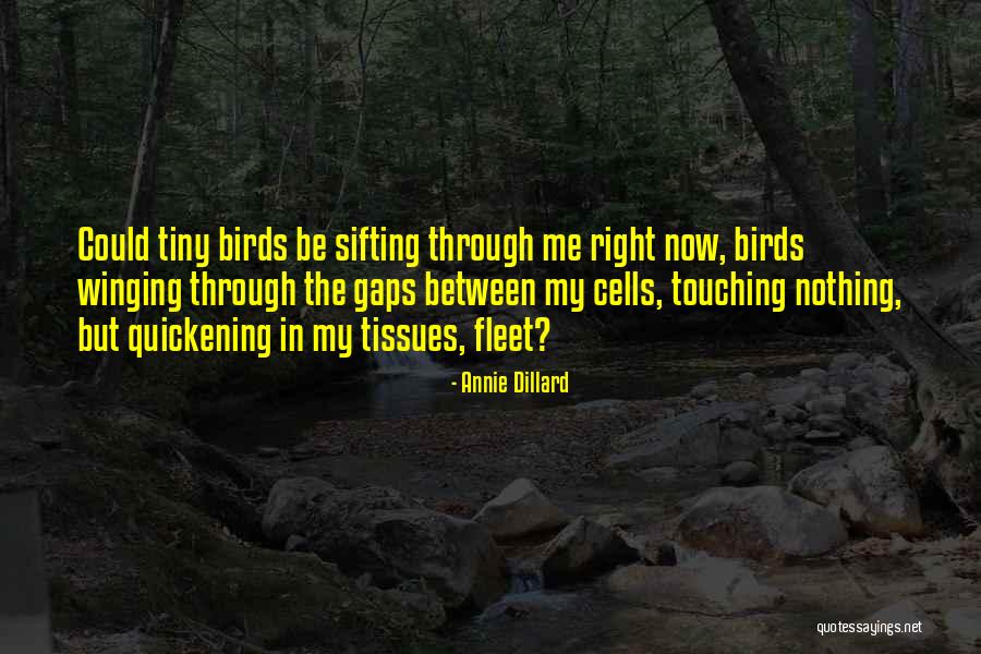 Annie Dillard Quotes 921495 Annie Dillard Quotes 921495