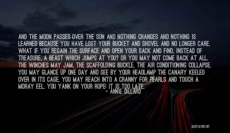 Annie Dillard Quotes 980494 Annie Dillard Quotes 980494
