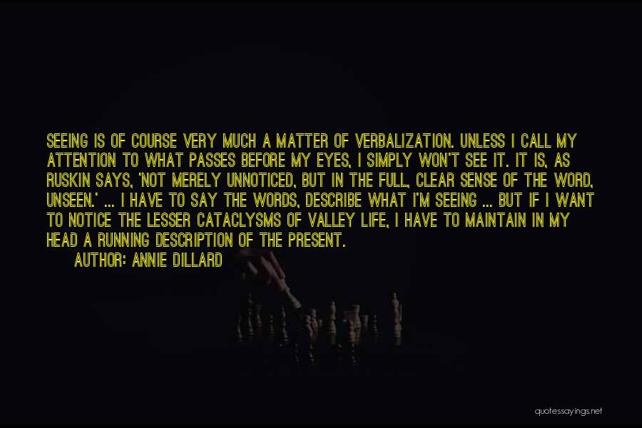 Annie Dillard Seeing Quotes By Annie Dillard